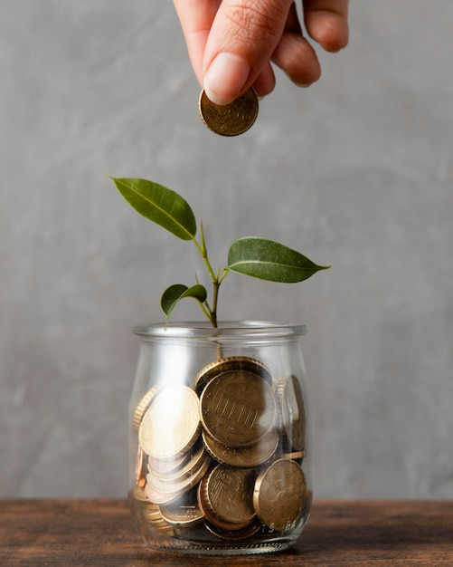 Plante dans pot de pièces de monnaie